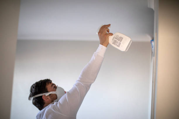 Trusted Arcola, TX Mold Removal Experts