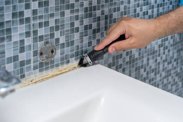 Mold Testing and Removal in Arcola, TX